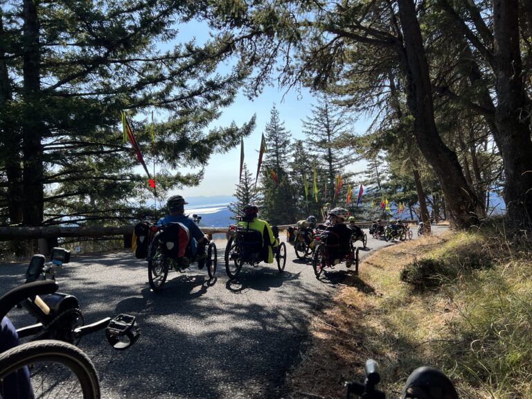 Constitution descent